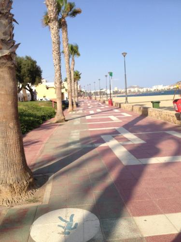 a sidewalk with palm trees on the side of a beach at Residencial Aguilas Playa in Águilas