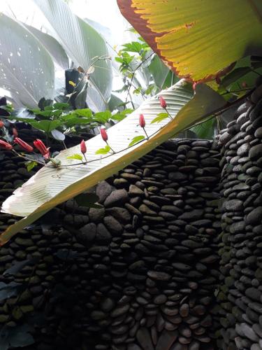 a close up of a banana leaf with flowers on it at Ganesh Villa in Ubud