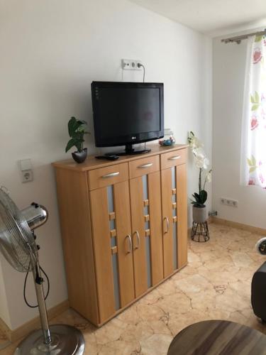 TV a/nebo společenská místnost v ubytování Pension No. 12