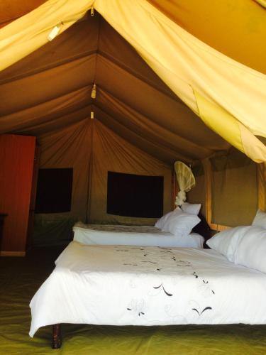 a couple of beds in a tent at Oldarpoi Wageni Camps in Keekorok