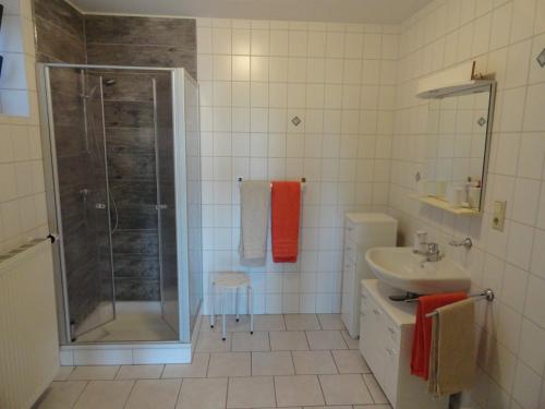 a bathroom with a shower and a sink at Ferienwohnung An der Traumschleife in Horath