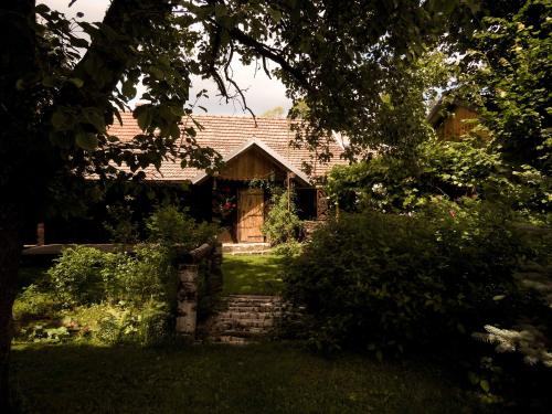 a house with a yard with trees and bushes at Nad Horyłką in Ropienka