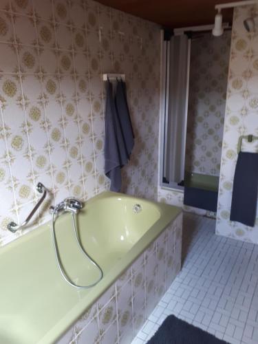 Ferienwohnung Frank في Merzalben: حمام مع حوض استحمام أخضر ودش