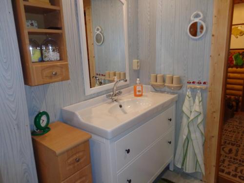 a bathroom with a sink and a mirror at Ferienhaus Sachse in Pockau
