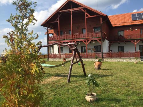 a statue in front of a building with a house at Pensiunea Zana Muntilor in Piatra Fantanele