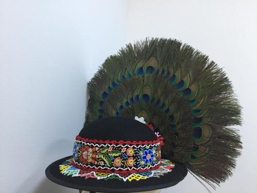 a hat with a peacock feather on a wall at Pensiunea Zana Muntilor in Piatra Fantanele