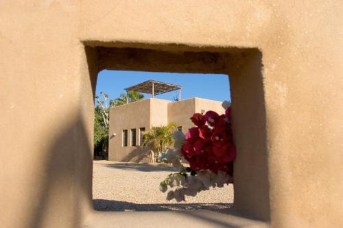 a view of a building with a bunch of flowers at Sole Caliente in Todos Santos
