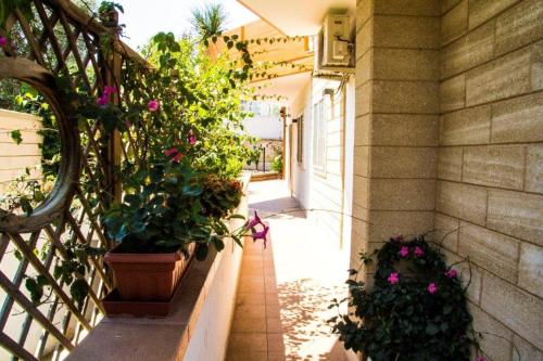 an alley with potted plants and flowers on a building at Little House in Modugno