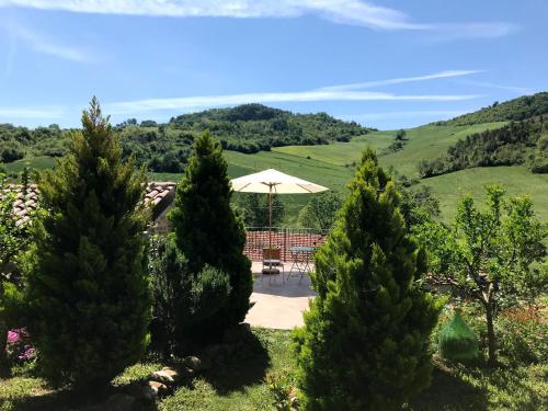 a view of a garden with trees and an umbrella at Panfilo Farmhouse in Cellino Attanasio