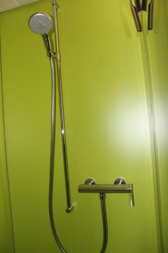eine Dusche im Bad mit grüner Wand in der Unterkunft Chalet Nueschwendi in Ebnat