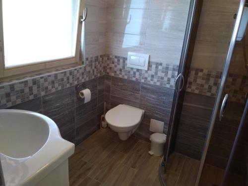 a bathroom with a toilet and a sink and a shower at Chata Nový Přerov in Nový Přerov