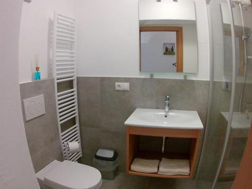 a bathroom with a sink and a toilet and a mirror at Haus Möltner - Apartment "Weinansetz" in Caldaro
