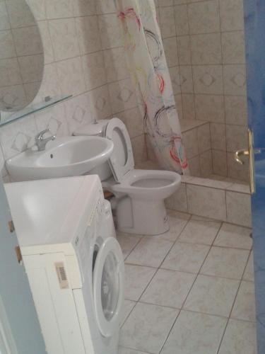 a bathroom with a toilet and a sink and a washing machine at Mare e Monti1 in Kamena Vourla