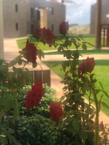 Un jardín fuera de Beach Wind Hotel