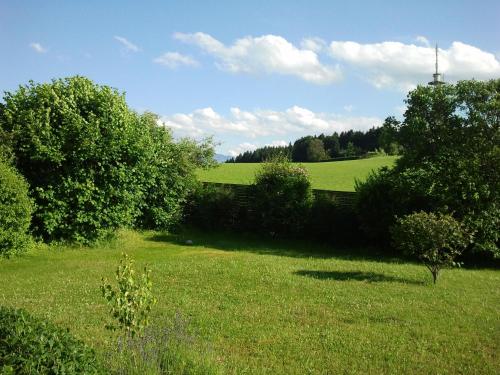 トラウンシュタインにあるFerienwohnung Juchheimの木々と塔のある緑草原