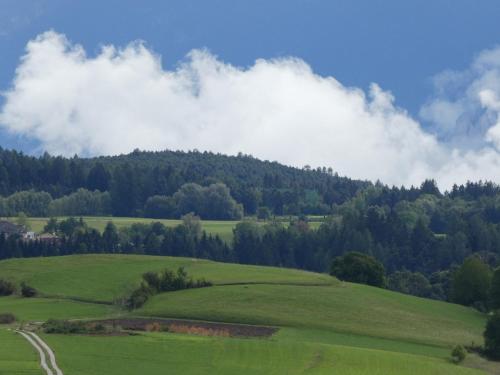 Afbeelding uit fotogalerij van Appartamento a 1000 metri in Fondo
