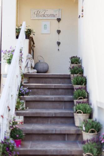 a stairway with potted plants and a welcome sign at House of Harmony in Stäfa