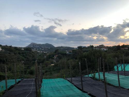 a group of green nets on top of a hill at De Maria House in SantʼAgata sui Due Golfi