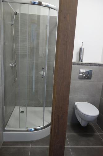 a bathroom with a shower and a toilet at Dom Pod Siódemką in Stronie Śląskie