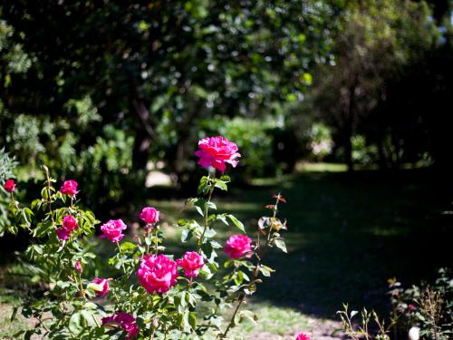 Κήπος έξω από το Andelomi Nature's Rest
