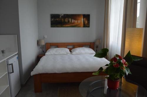 Postel nebo postele na pokoji v ubytování Vila Lípa