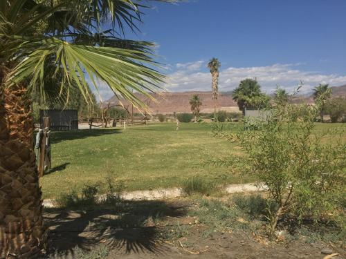a field with a palm tree and a field of grass at Shoshone RV Park in Shoshone