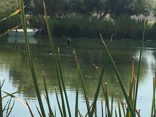 a bird standing in the water with a boat at Shoshone RV Park in Shoshone