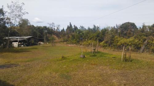 a field with trees and a house in the distance at Hospedaje Rural Misia Emilia in Medellín