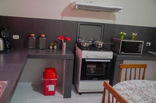 Kuhinja ili čajna kuhinja u objektu Jazmines Lodging