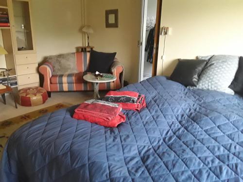 a bedroom with a blue bed with red pillows on it at Kjellerup bed&Breakfast in Kjellerup