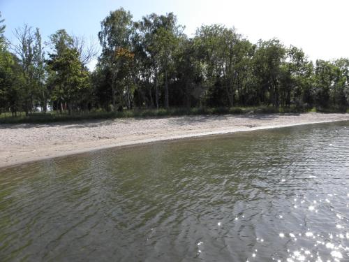 a sandy beach next to the water with trees at Söderö Stugby in Finström