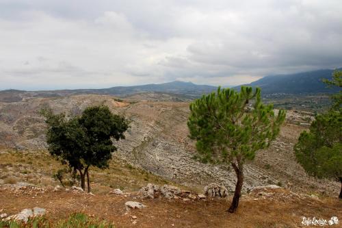 two trees on a hill with mountains in the background at Casa Rural Casa Gimeno in Bocairent