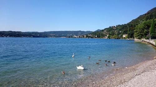 Afbeelding uit fotogalerij van Brezza di Lago in Salò