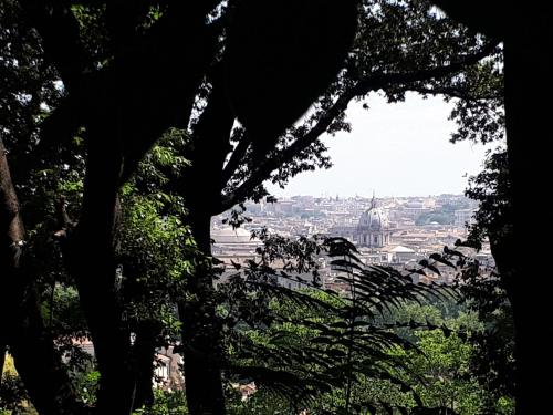 a view of a city from behind some trees at B&B Papa Leone Countryrooms in Rome