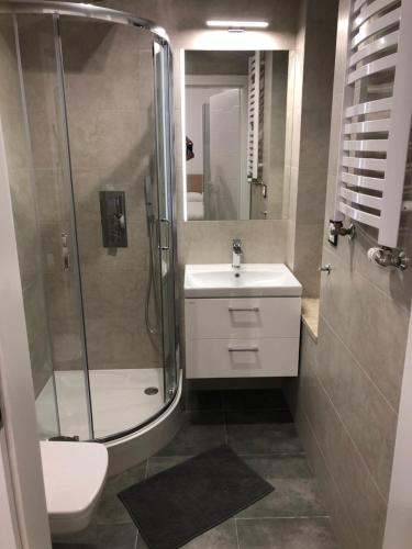 un bagno con doccia, lavandino e WC di Pokoje ANTRACYT a Skarżysko-Kamienna