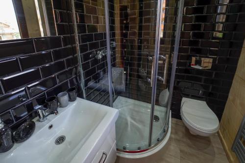La salle de bains est pourvue d'une douche, d'un lavabo et de toilettes. dans l'établissement Domek Regionalny Dan Pio, à Zakopane