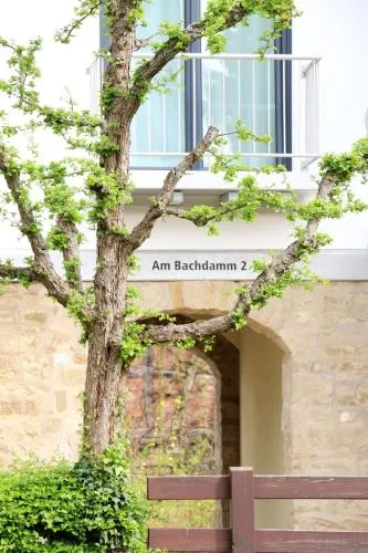 Alte Stadtmauer - Apartment photo