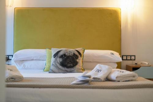 a pug dog sitting on top of a bed at Blue Bottle Boutique Hotel in Thessaloniki