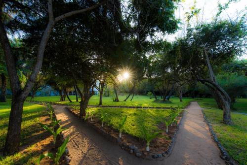 a path in a park with trees and grass at Amani Beach Resort in Kutani