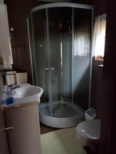 a bathroom with a shower with a sink and a toilet at Flower Bell in Ghimeş-Făget