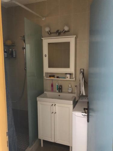 アギオス・ニコラオスにあるBig Blue Luxury Apartmentのバスルーム(シンク、シャワー付)