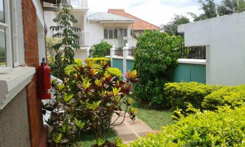 a garden with a bush in front of a house at Tourist Nest Hotel in Kampala