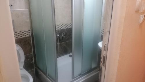 a bathroom with a shower and a toilet at Florin Hotel in Istanbul