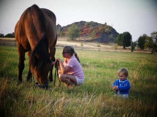 a young girl and a child petting a horse in a field at Venkovské apartmány Tiché pastviny in Stein Schönau