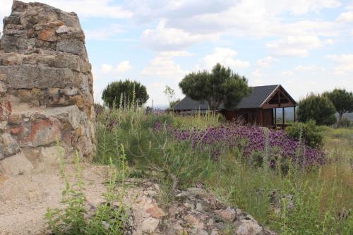a field of purple flowers in front of a building at Finca el enebro in Valdemorillo