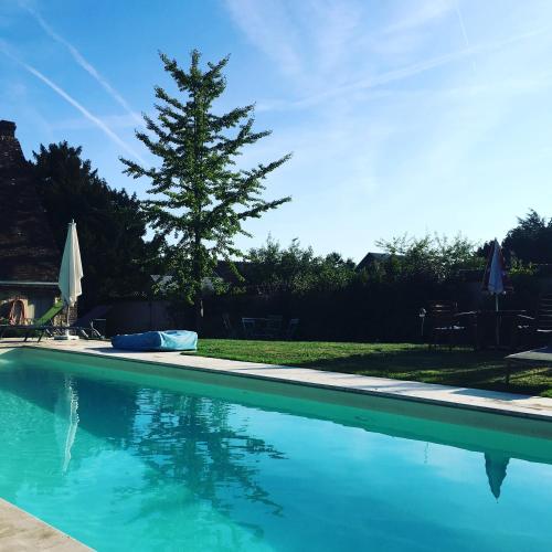 une piscine avec un pin en arrière-plan dans l'établissement Les Couleurs du Verger, à Beaumont-les-Autels
