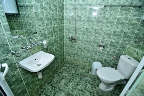 La salle de bains est pourvue de toilettes et d'un lavabo. dans l'établissement Hotel Valdis, à Pastra