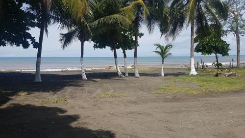 a group of palm trees on a beach with the ocean at Sunrise Inn in Puerto Armuelles