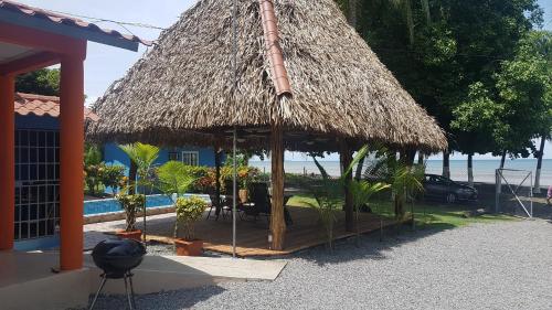 Sunrise Inn في Puerto Armuelles: كوخ بسقف من القش فيه نباتات