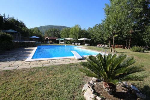 a swimming pool with a palm tree in a yard at Casalilliput in Sassoferrato